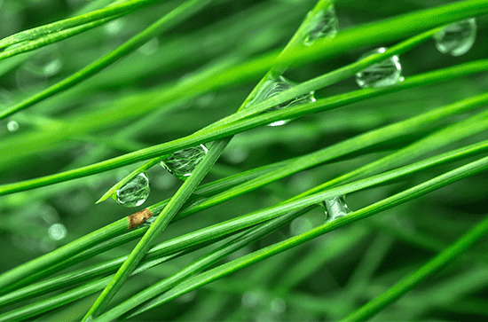 2024谷雨是第几个节气 谷雨是二十四节气第几个